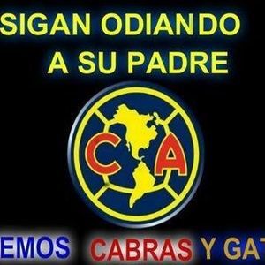 Meet your Posher, Marco